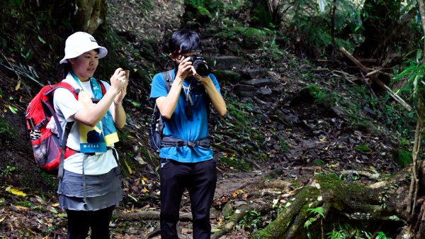 淡蘭古道中路（闊瀨崩山坑環線）989189