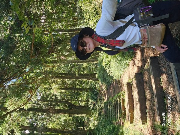 桃園小百岳東眼山(H1212m)2844626