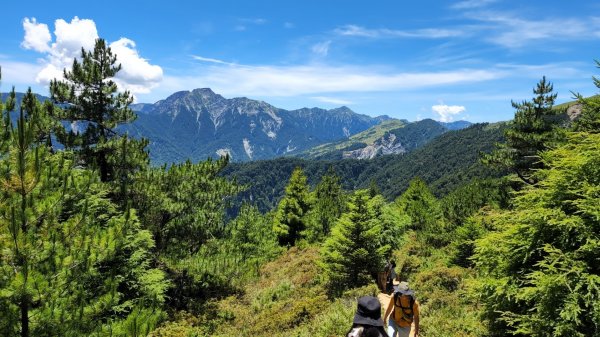 合歡山北峰， 石門山，霧峰奧山，青桐林生態園區，九九峰森林步道，桃源里森林步道，龍鳳谷森林步道1779143