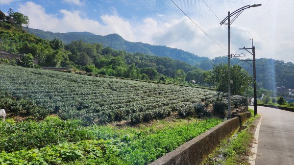 太平山森林遊樂區，檜木原始林步道，九寮溪自然步道，戈霸瀑布，開眼崙登山步道2320283