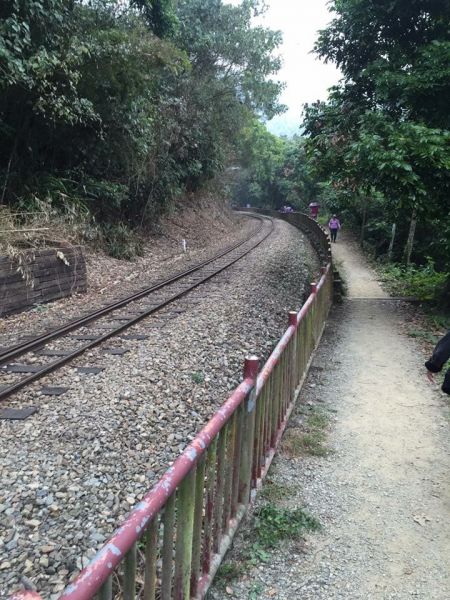 嘉義獨立山174178