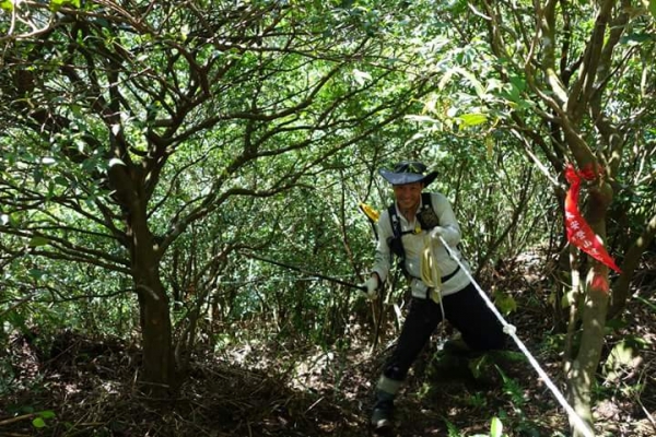 【新北／瑞芳】東北角黃金稜線、半平溪峽谷、三角尖峰、雙鬼小霸尖23060