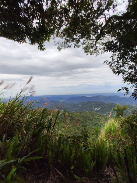 2025/6/14 橫龍山2839238