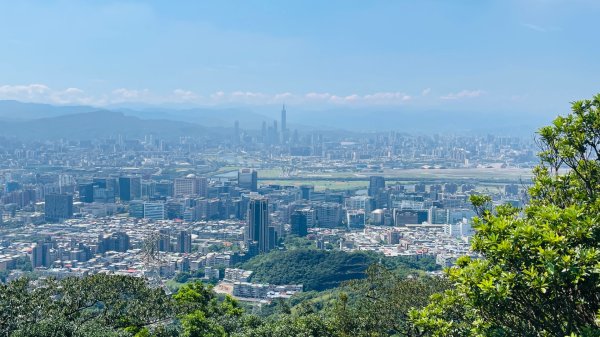 金面山親山步道2867844