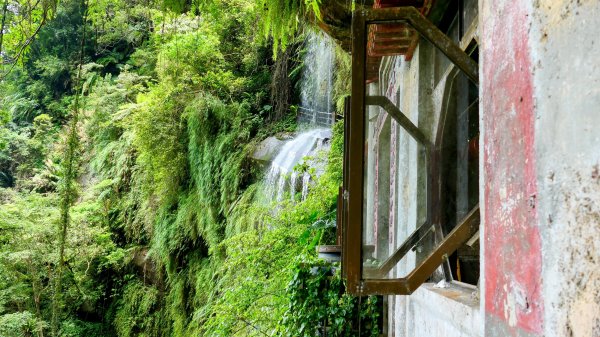 微笑山線銀河洞越嶺段2852827