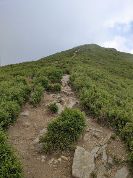 合歡山南峰&主峰之高山美景1456604