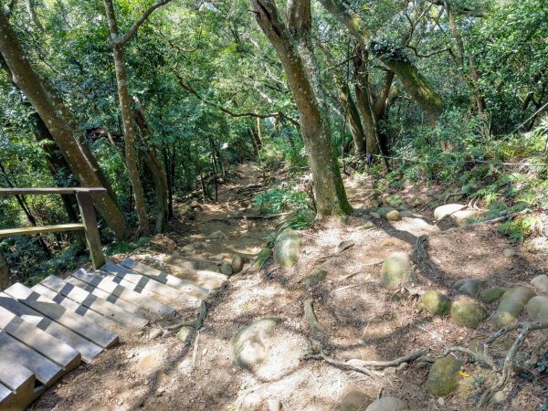 新竹飛鳳山(中坑山)小百岳880250