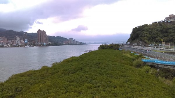 春光爛漫的淡水河左岸855999