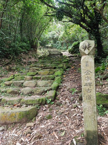 淡蘭北路第四段：瑞芳車站至雙溪車站2516381