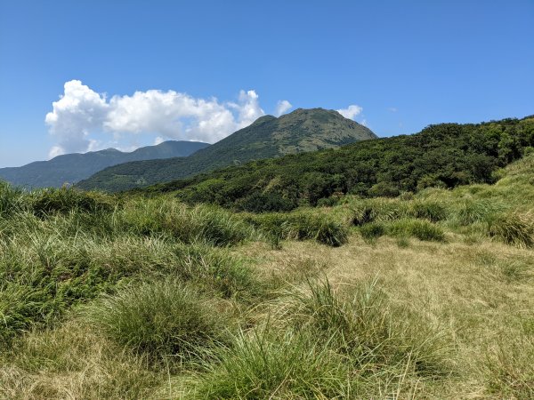 內寮古道竹篙山南峰封面