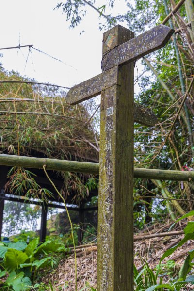 [台南]崁頭山2848487