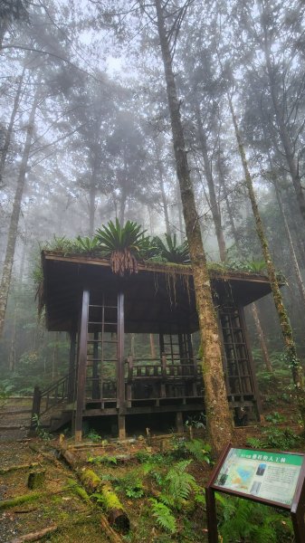 111/12/18藤枝森林園區東藤枝山、藤枝山1979562