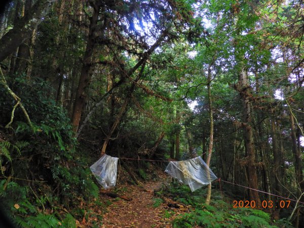 新竹 五峰 民都有山(面托油山)869209