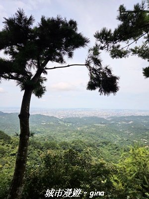 【台中北屯】大坑四號步道x頭嵙山3090941