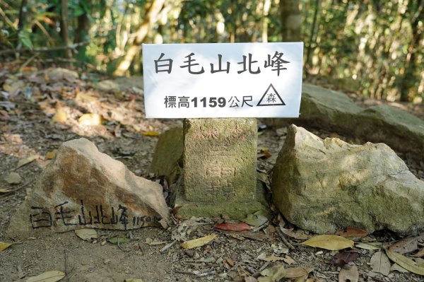 臺中 和平 白毛山、次郎山2670918