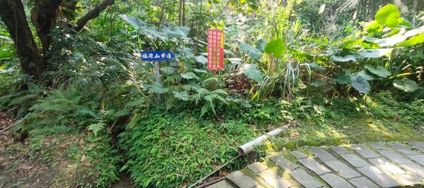 福源山步道2730313