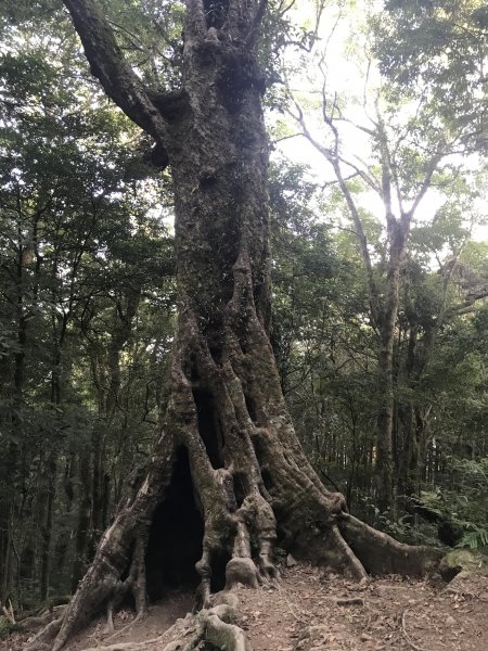 登山野營兩相宜~高島縱走1488835