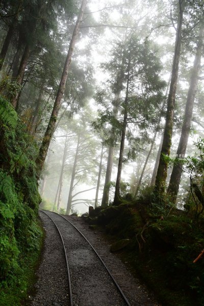 太平山見晴懷古437833