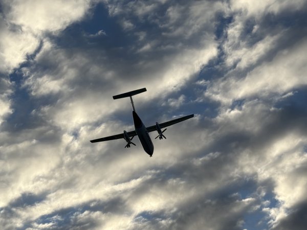 [紐約馬之行-21] 2025_1104 托寧湖(Tjörnin)2946357