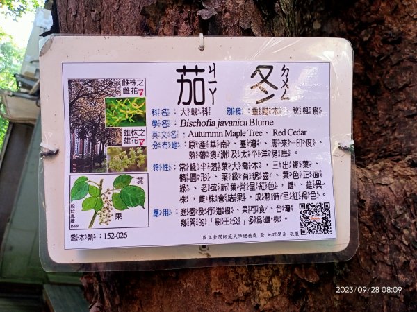 師大公園、師大本部 (國立臺灣師範大學和平校區) 【走路趣尋寶、健康大穀東】2298587