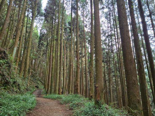 石山引水道2758967