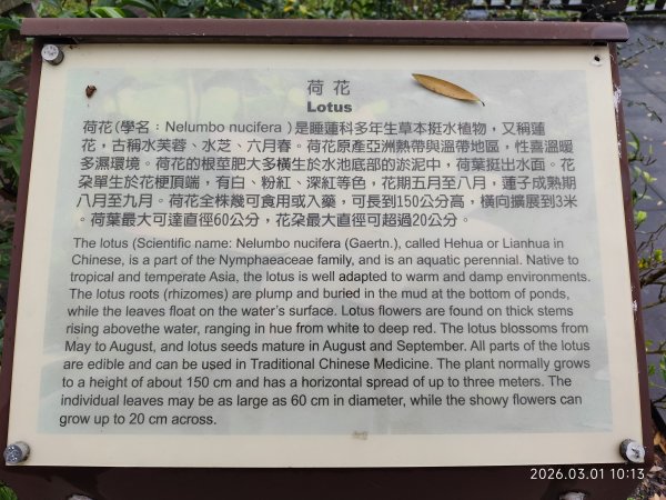 【臺北大縱走 4】大湖公園→大溝溪生態治水園區→圓覺瀑布→峯碧山圓覺寺→碧山巖→白石湖吊橋→碧湖公園3008913