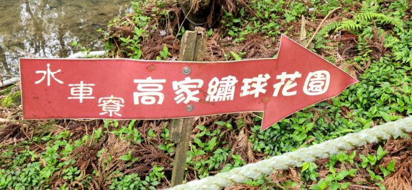 劍潭山，文間山，忠勇山，北投龍鳳谷步道，菜公坑瀑布，水車寮步道，頂湖山，青楓步道，海芋環狀步道2059400