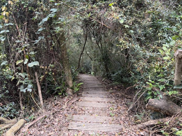 [微笑山線_第四段] 2026_0321 天上山系_石門內尖山3022070