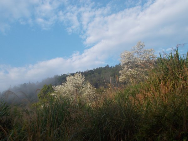 富太山,,俚與邊山,砲台山1293553