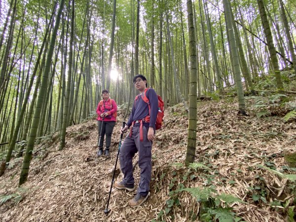 龍鳳、龍鳳峽、三叉崙、內樹皮、水桶寮、羊頭崙、志騰、竹崙、溪頭山九連峰縱走  2022/1/11570346