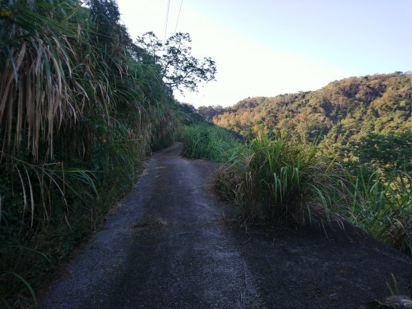 大橫屏山(小百岳045)後角寮210電桿757458