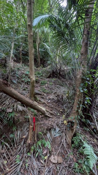 114.05.17聖人崙-聖人瀑布之旅2789504