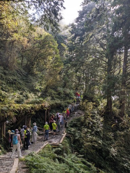 見晴懷古步道3137139