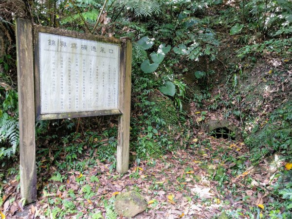 土庫岳(小百岳#14)下深坑北深路一段947455