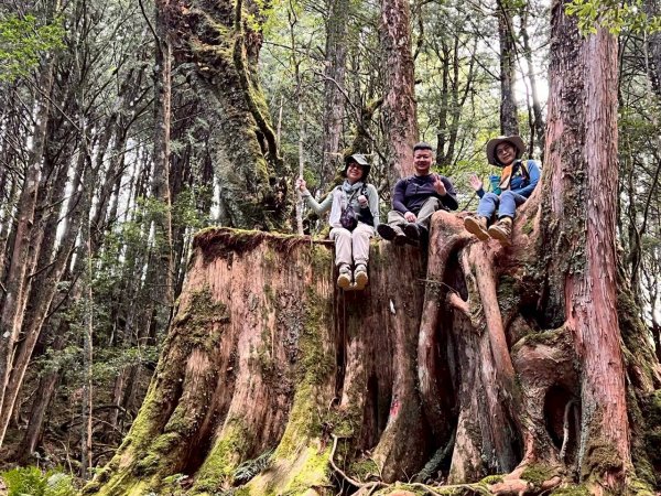 🌈11/15（六）松鶴上八仙山下森林遊樂區✨FB：熊熊趴爬走🌈2937653