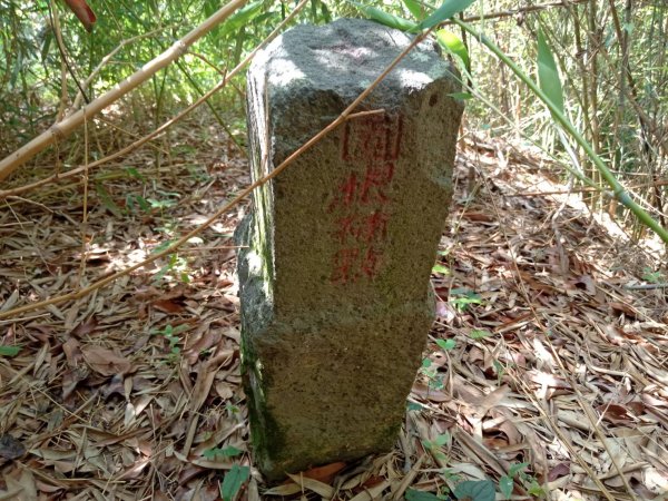 20210717台中霧峰坑口山、暗坑山、青桐林山又稱本雙溪嘴山或北坑山1532537