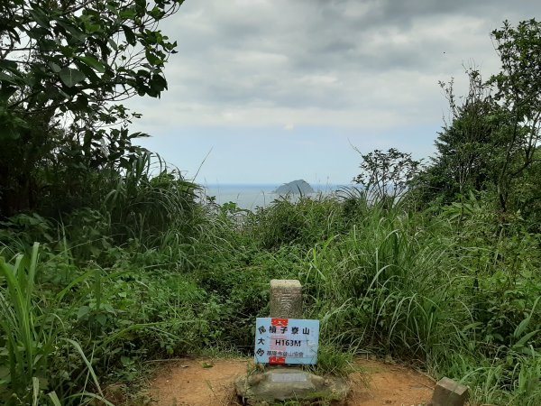 不高，但，超難找二座小百岳1143497