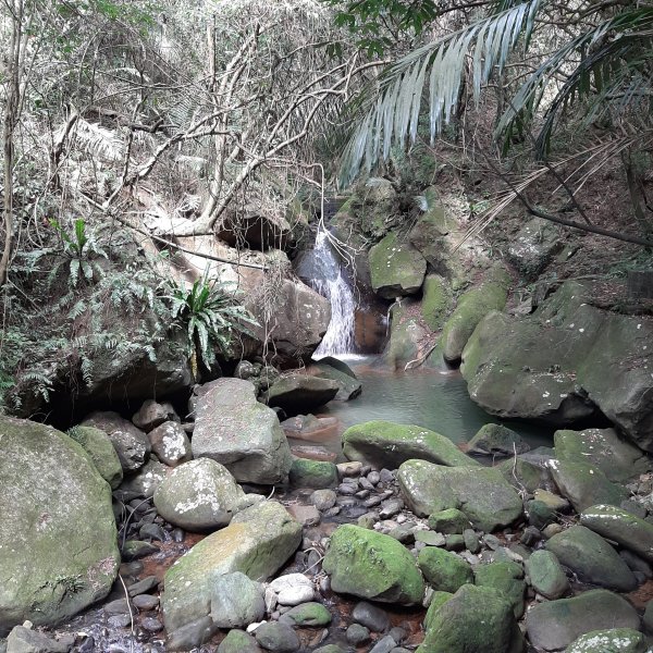 臺北大縱走4：大湖公園到白石湖1323453