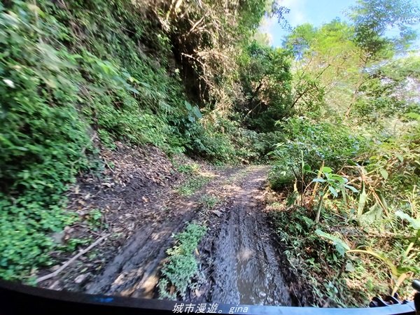 【台東。大武】一路搖晃碰碰車。小百岳集起來。  編號95小百岳-加奈美山步道1640906