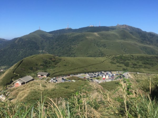 毛孩米奶登山去-七星山主峰、東峰737976