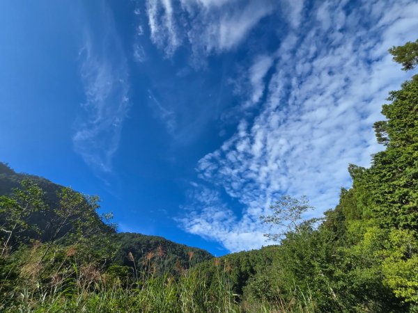 干卓萬山單座百岳驚見‘’萬大豹、水鹿大軍、圓月、雲海、藍天大景2632638