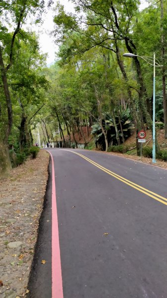 石門水庫楓林步道771922