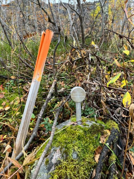 Norway-Myrdal-VATNAHALSEN HOTEL-湖邊健行2917781