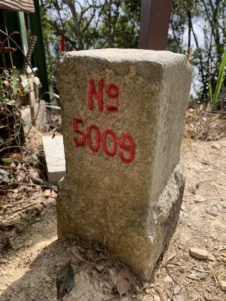 20260207南投雨後頭縱走2998115