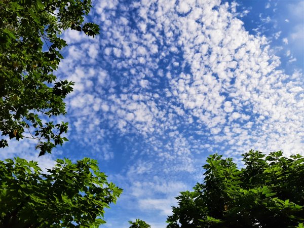 關渡親山步道｜雨過天晴 讓我們看雲去1435688