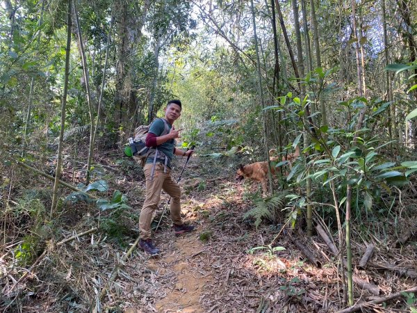 金童山.汶水山.玉女山【冬天的郊山縱走=高山等級的享受】2680928