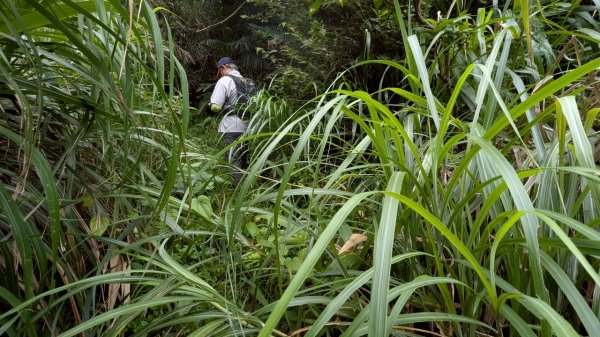 114.06.08門牙岩之O型2806614