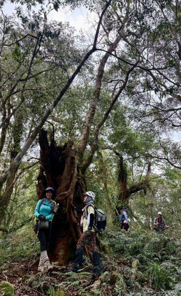 大同九分山/九份山3027616