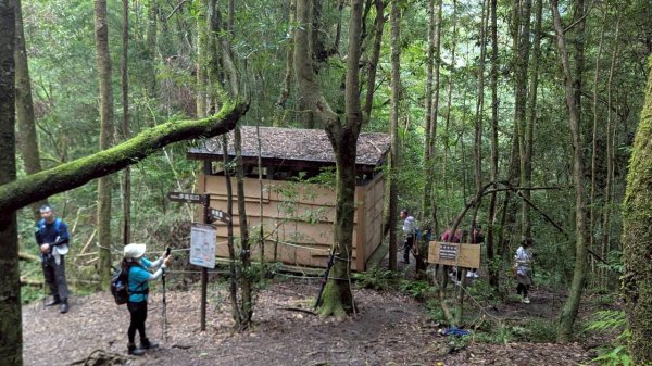 鎮西堡巨木步道群 (B區)2861209