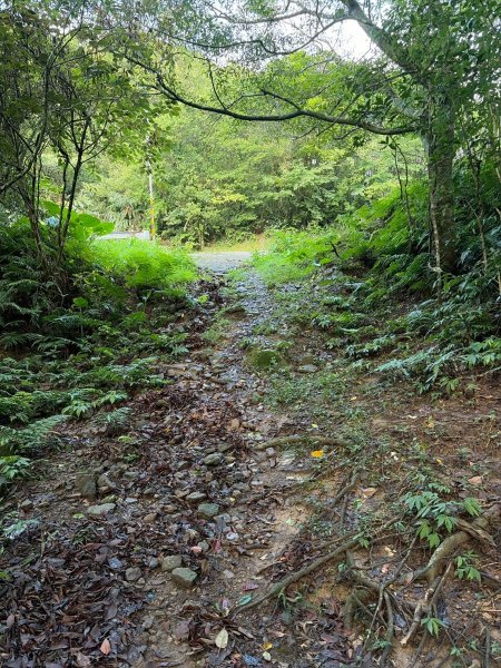 虎豹雙棲越野17K複習跑-part23072602